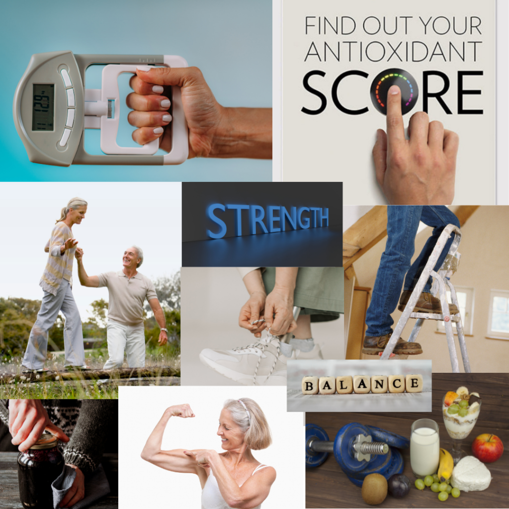 Stay strong markers, Grip strength test, Balance assessment, functional mobility assessment, Muscle health measurement for strength and resilience.